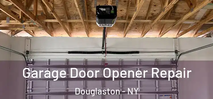  Garage Door Opener Repair Douglaston - NY