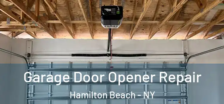  Garage Door Opener Repair Hamilton Beach - NY