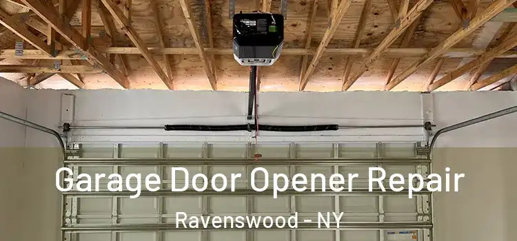  Garage Door Opener Repair Ravenswood - NY