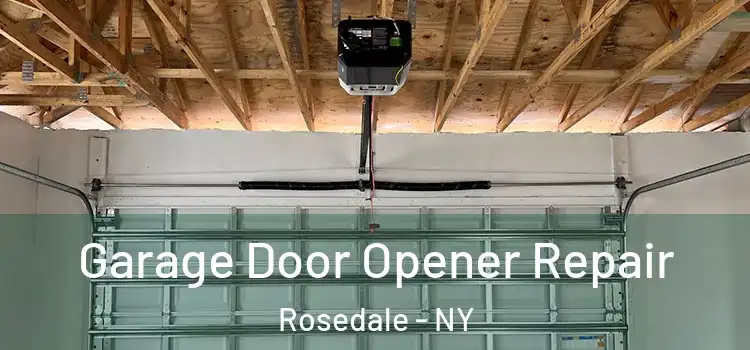  Garage Door Opener Repair Rosedale - NY