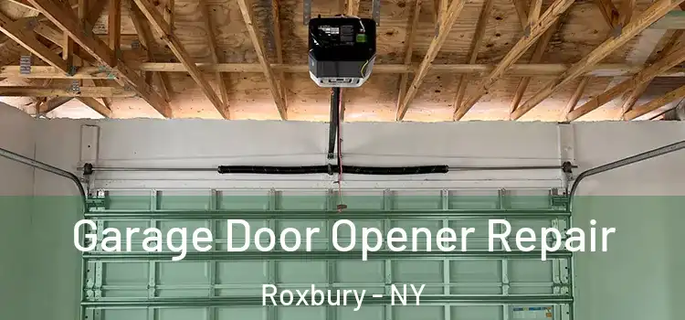  Garage Door Opener Repair Roxbury - NY