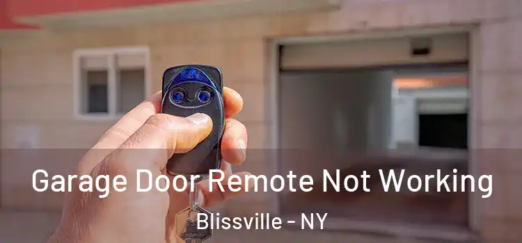  Garage Door Remote Not Working Blissville - NY