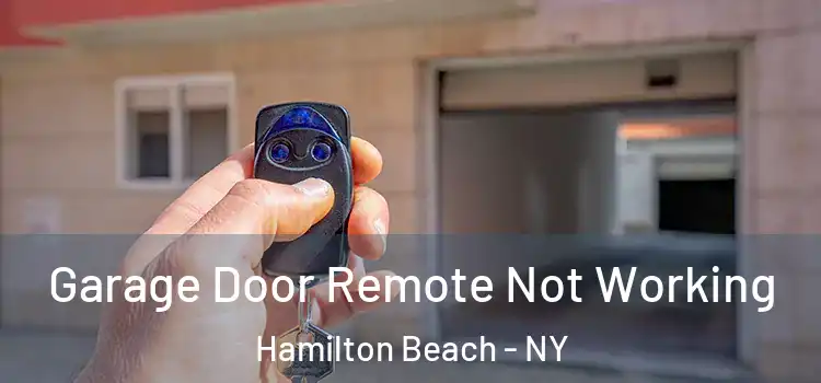  Garage Door Remote Not Working Hamilton Beach - NY