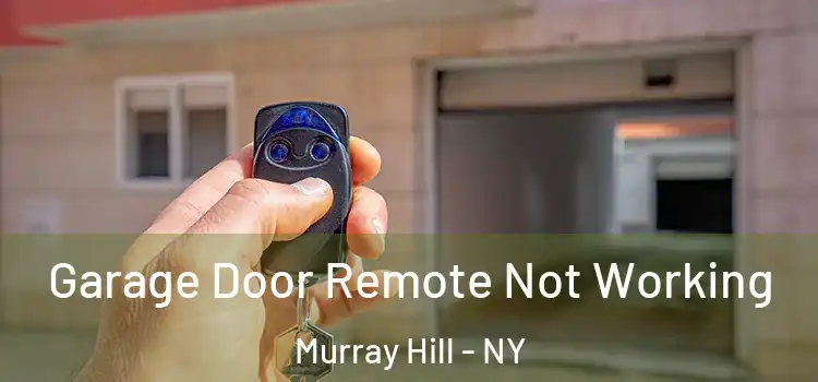  Garage Door Remote Not Working Murray Hill - NY