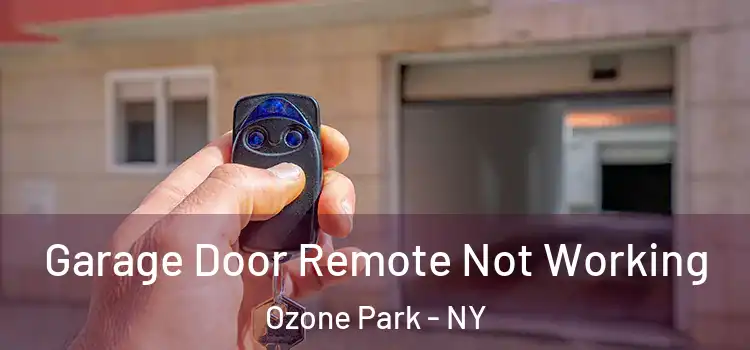  Garage Door Remote Not Working Ozone Park - NY