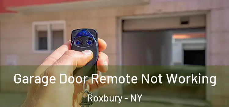  Garage Door Remote Not Working Roxbury - NY