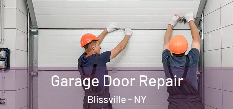  Garage Door Repair Blissville - NY