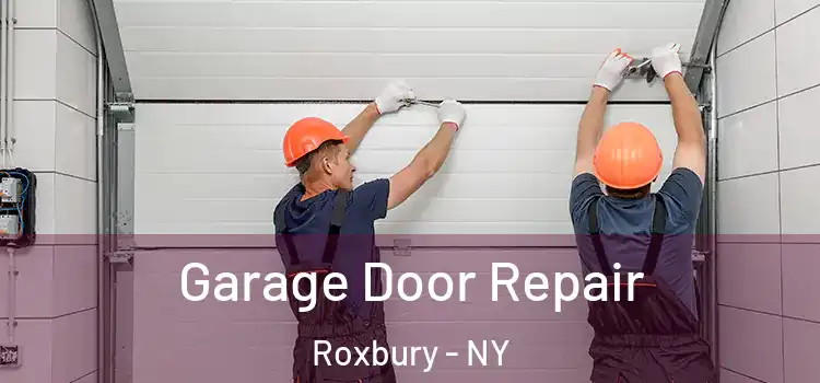 Garage Door Repair Roxbury - NY