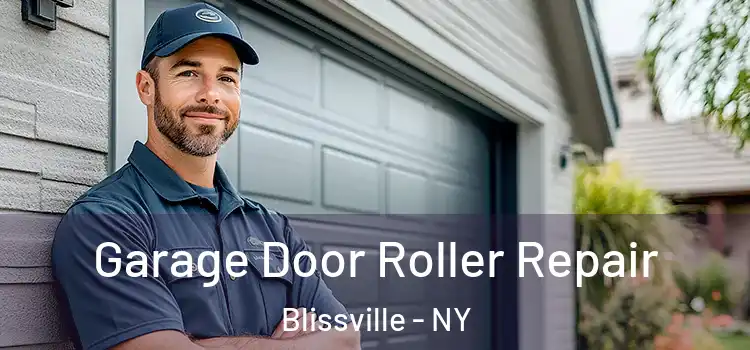  Garage Door Roller Repair Blissville - NY