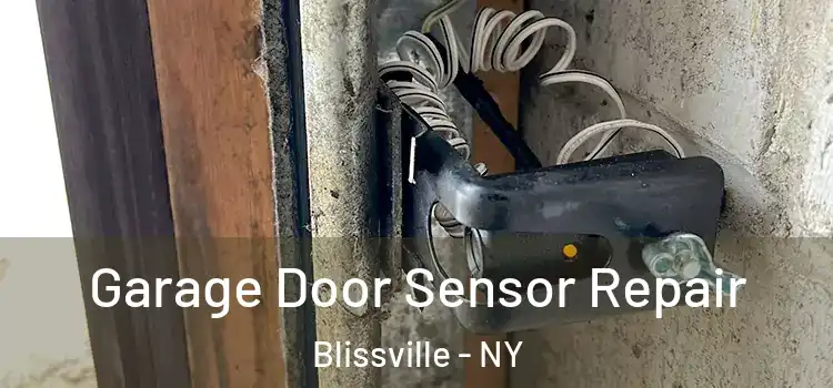 Garage Door Sensor Repair Blissville - NY