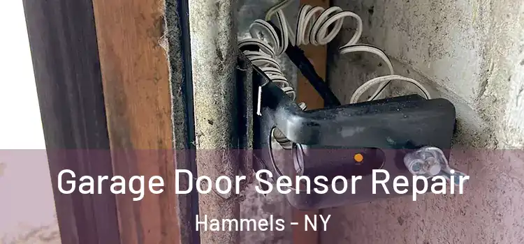  Garage Door Sensor Repair Hammels - NY
