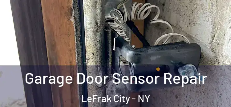 Garage Door Sensor Repair LeFrak City - NY
