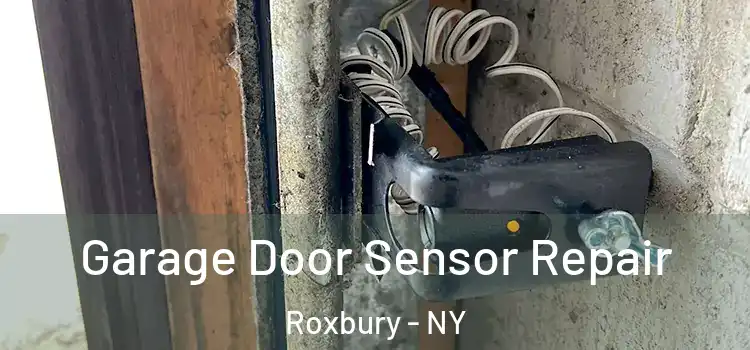 Garage Door Sensor Repair Roxbury - NY