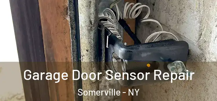  Garage Door Sensor Repair Somerville - NY