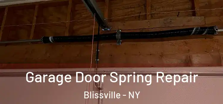  Garage Door Spring Repair Blissville - NY