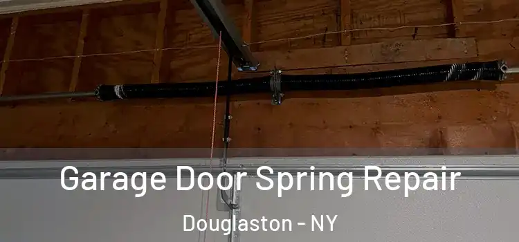  Garage Door Spring Repair Douglaston - NY