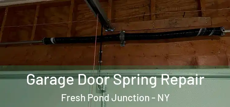  Garage Door Spring Repair Fresh Pond Junction - NY