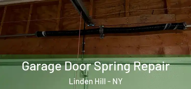  Garage Door Spring Repair Linden Hill - NY