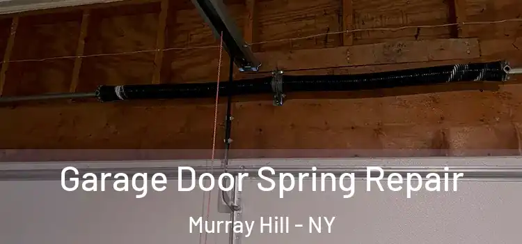  Garage Door Spring Repair Murray Hill - NY