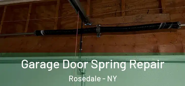  Garage Door Spring Repair Rosedale - NY