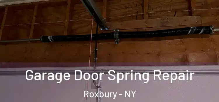  Garage Door Spring Repair Roxbury - NY