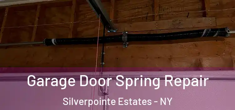 Garage Door Spring Repair Silverpointe Estates - NY