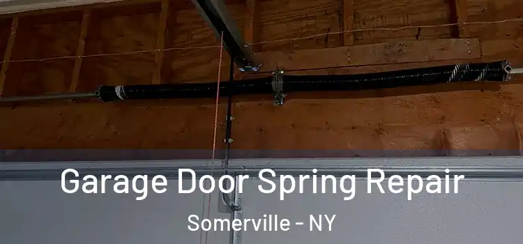  Garage Door Spring Repair Somerville - NY