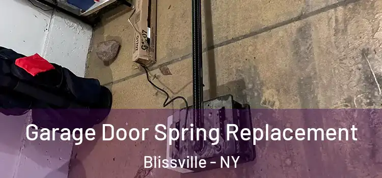  Garage Door Spring Replacement Blissville - NY