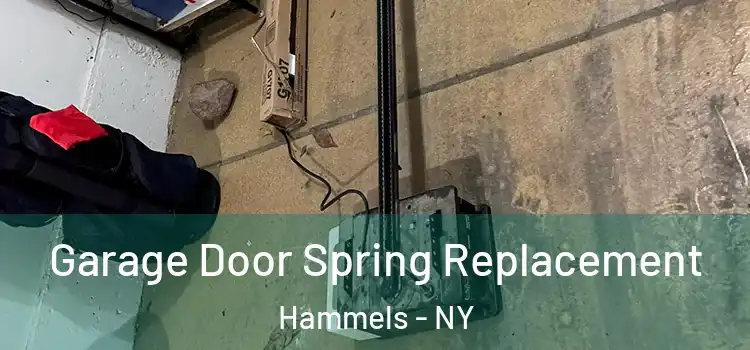 Garage Door Spring Replacement Hammels - NY