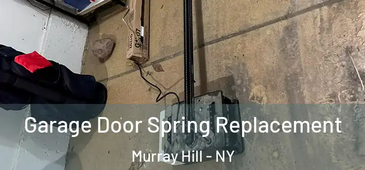  Garage Door Spring Replacement Murray Hill - NY