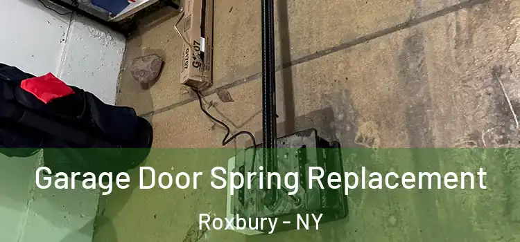  Garage Door Spring Replacement Roxbury - NY