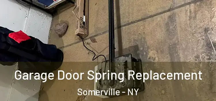  Garage Door Spring Replacement Somerville - NY