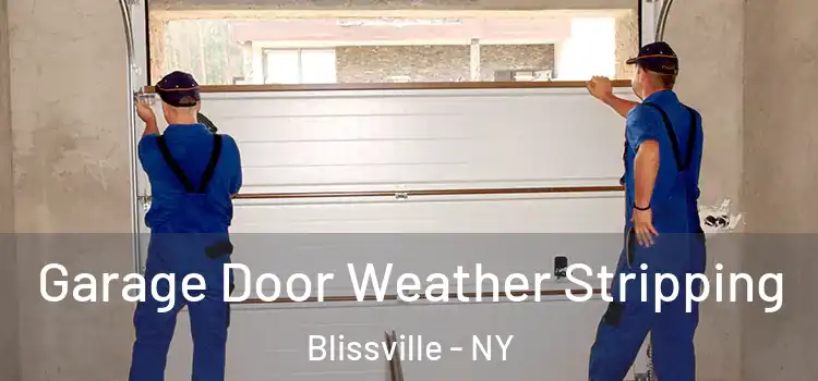  Garage Door Weather Stripping Blissville - NY