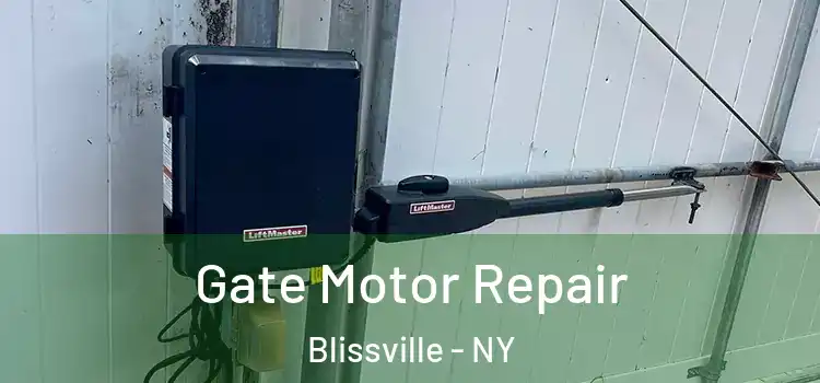 Gate Motor Repair Blissville - NY