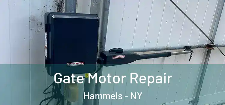  Gate Motor Repair Hammels - NY