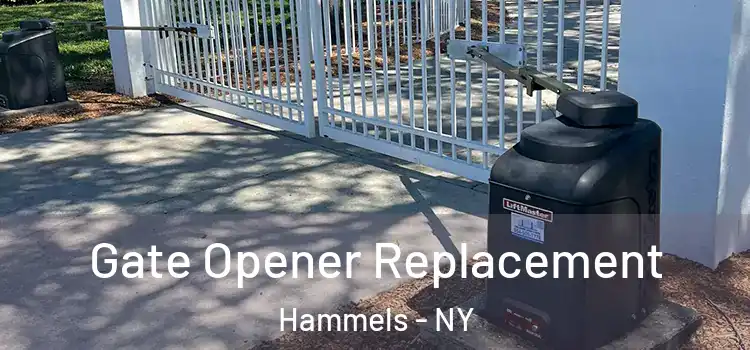 Gate Opener Replacement Hammels - NY
