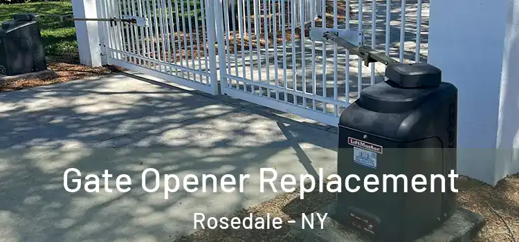  Gate Opener Replacement Rosedale - NY