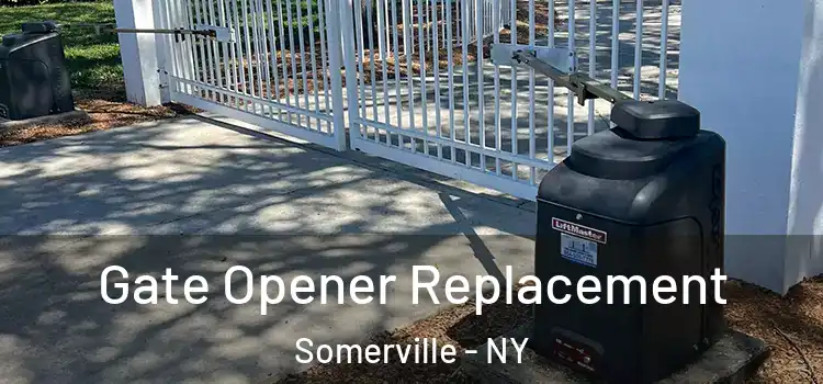  Gate Opener Replacement Somerville - NY