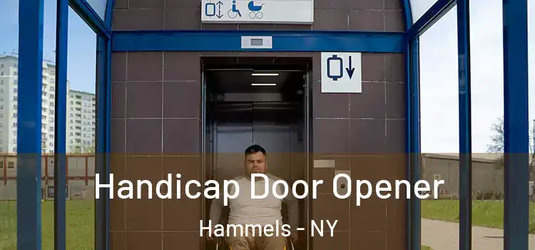  Handicap Door Opener Hammels - NY
