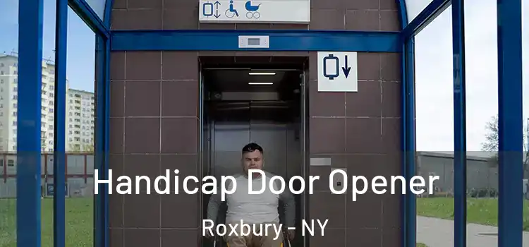 Handicap Door Opener Roxbury - NY