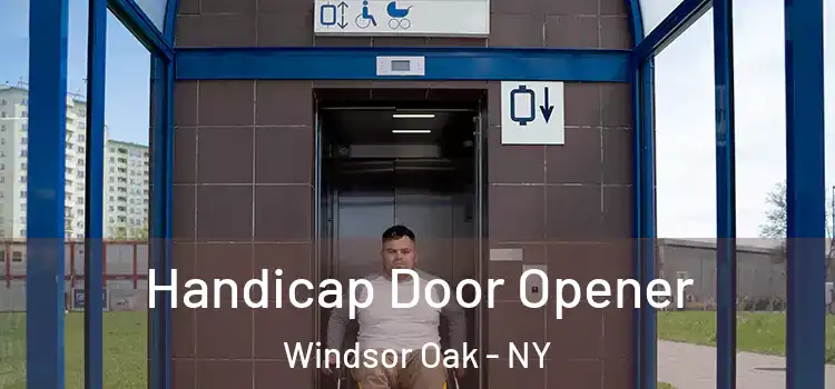  Handicap Door Opener Windsor Oak - NY