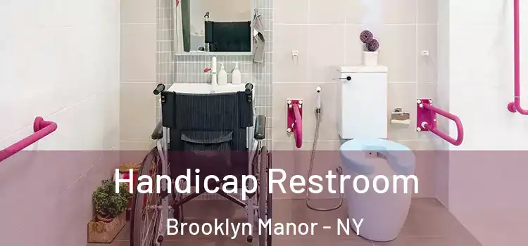  Handicap Restroom Brooklyn Manor - NY
