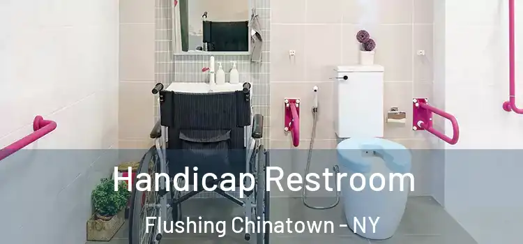 Handicap Restroom Flushing Chinatown - NY