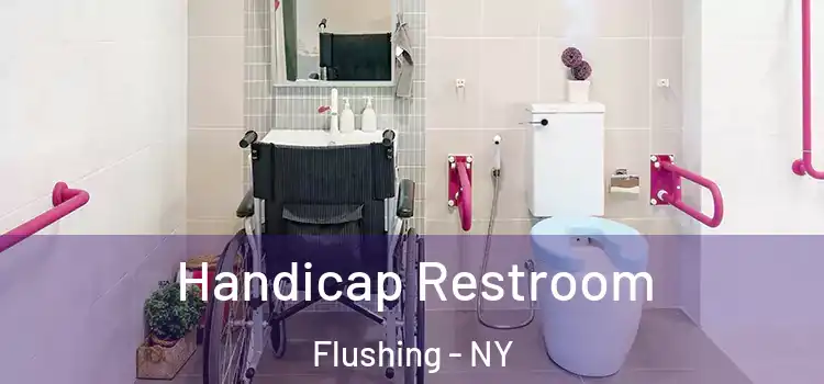 Handicap Restroom Flushing - NY