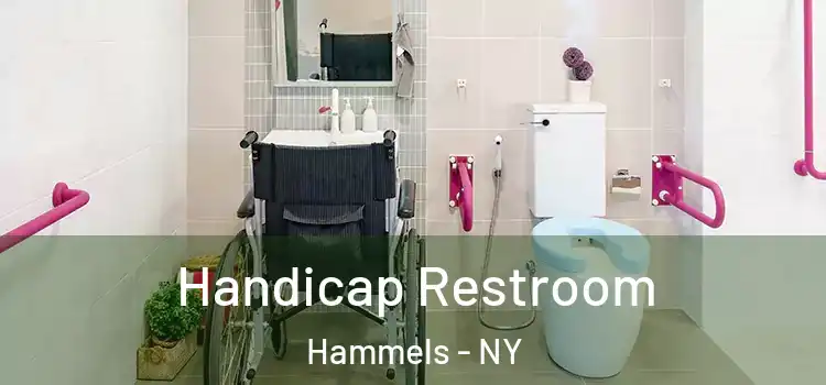 Handicap Restroom Hammels - NY