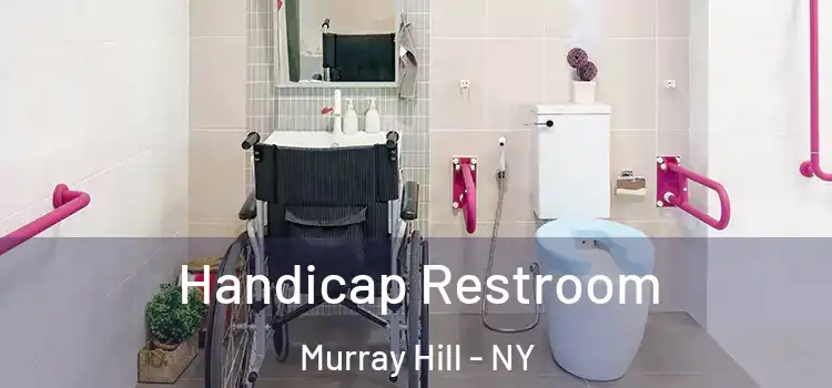  Handicap Restroom Murray Hill - NY
