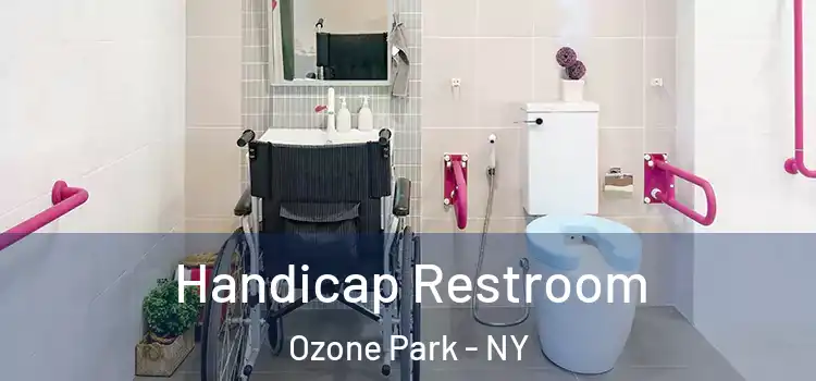  Handicap Restroom Ozone Park - NY