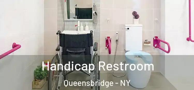 Handicap Restroom Queensbridge - NY
