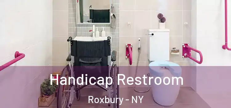 Handicap Restroom Roxbury - NY