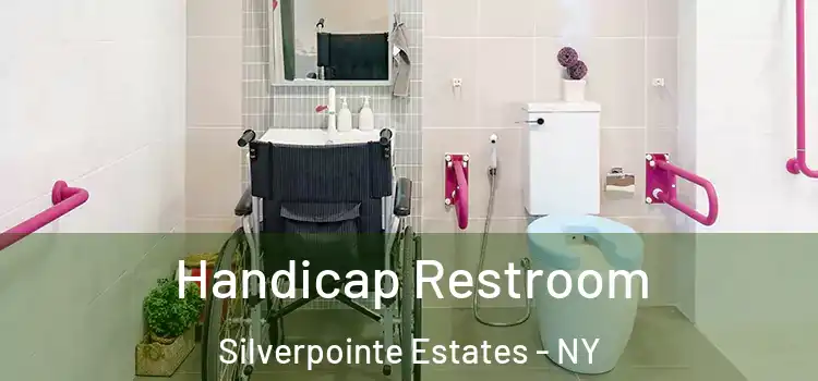  Handicap Restroom Silverpointe Estates - NY